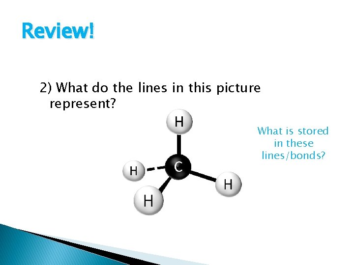 Review! 2) What do the lines in this picture represent? What is stored in