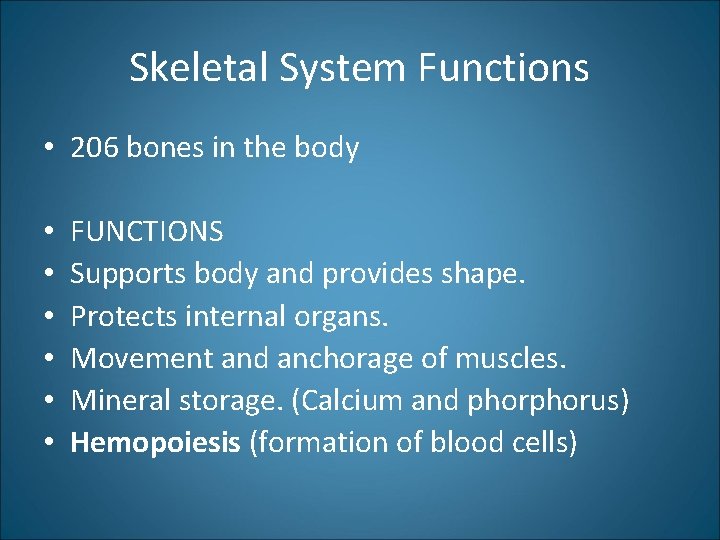 Skeletal System Functions • 206 bones in the body • • • FUNCTIONS Supports