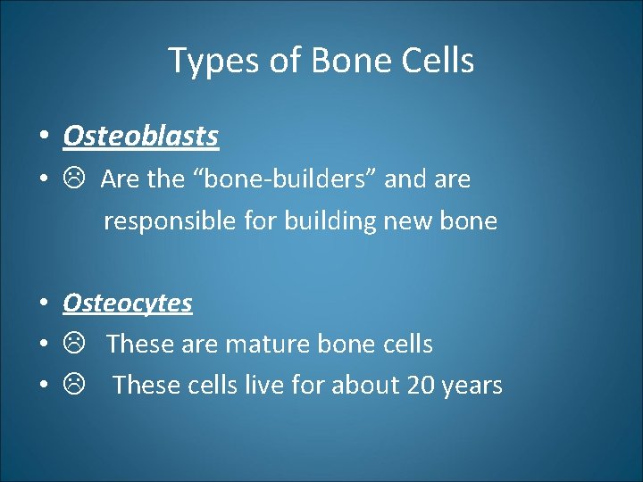 Types of Bone Cells • Osteoblasts • Are the “bone-builders” and are responsible for
