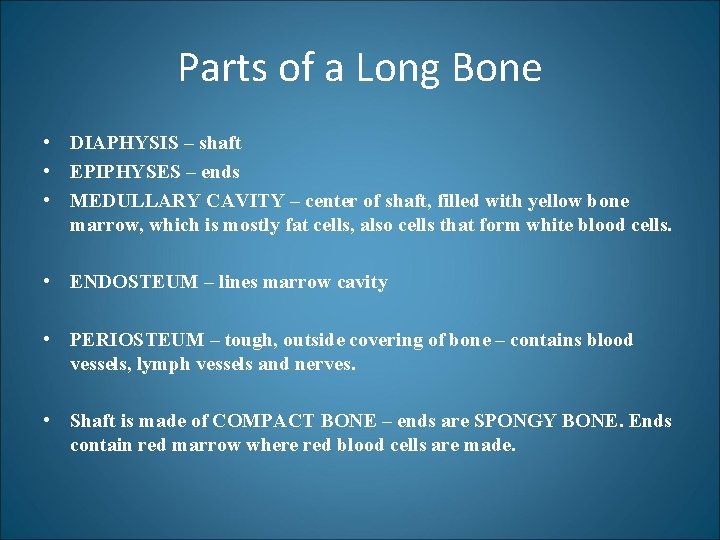 Parts of a Long Bone • DIAPHYSIS – shaft • EPIPHYSES – ends •