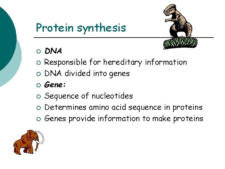 Protein synthesis ¡ ¡ ¡ ¡ DNA Responsible for hereditary information DNA divided into