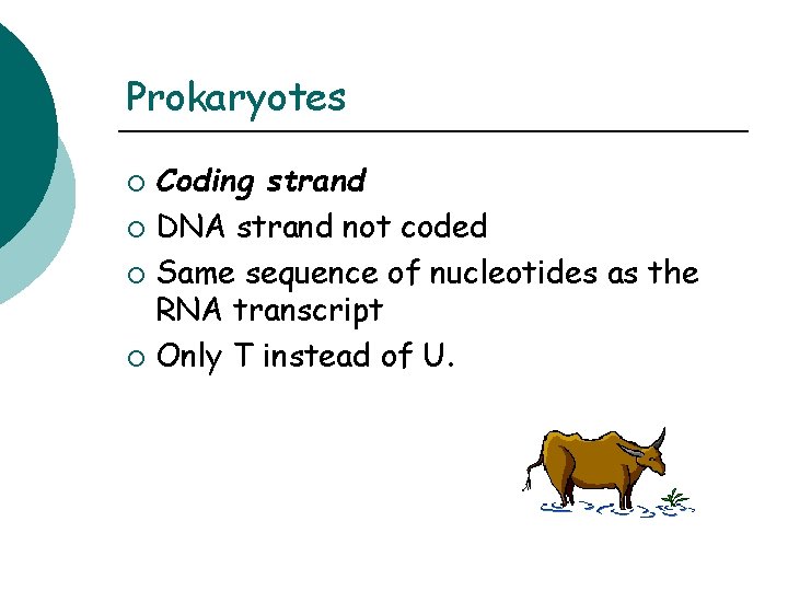 Prokaryotes Coding strand ¡ DNA strand not coded ¡ Same sequence of nucleotides as