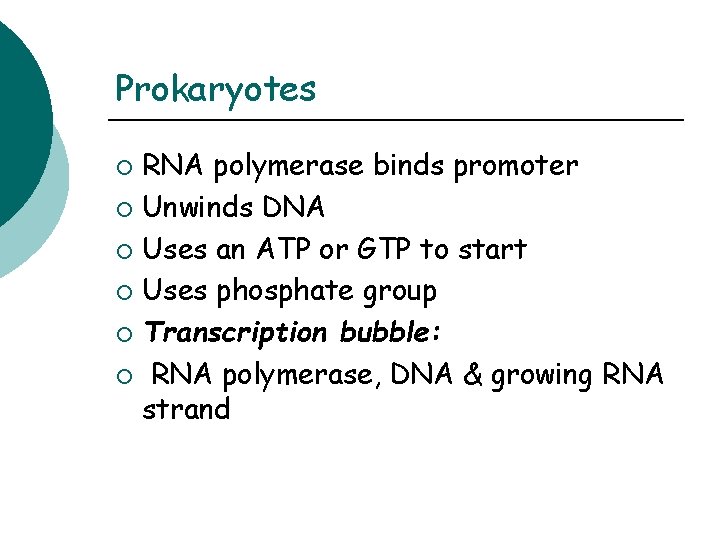 Prokaryotes RNA polymerase binds promoter ¡ Unwinds DNA ¡ Uses an ATP or GTP