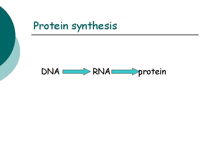 Protein synthesis DNA RNA protein 