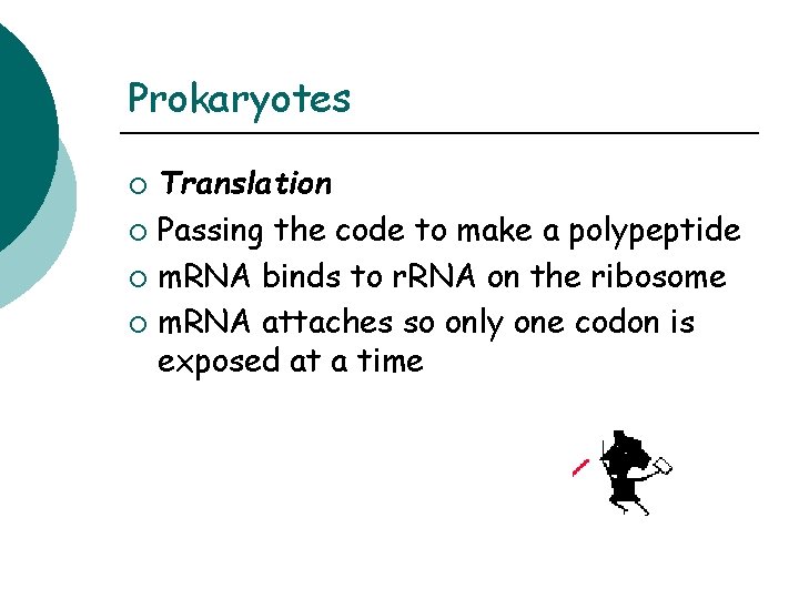 Prokaryotes Translation ¡ Passing the code to make a polypeptide ¡ m. RNA binds