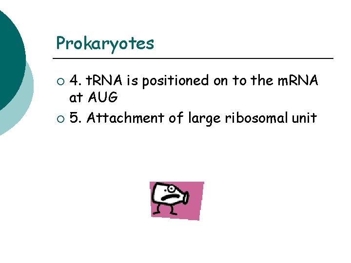 Prokaryotes 4. t. RNA is positioned on to the m. RNA at AUG ¡