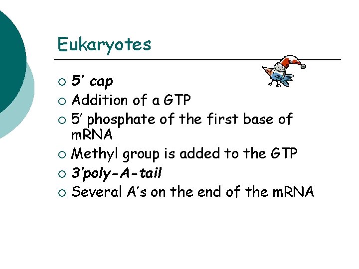 Eukaryotes 5’ cap ¡ Addition of a GTP ¡ 5’ phosphate of the first