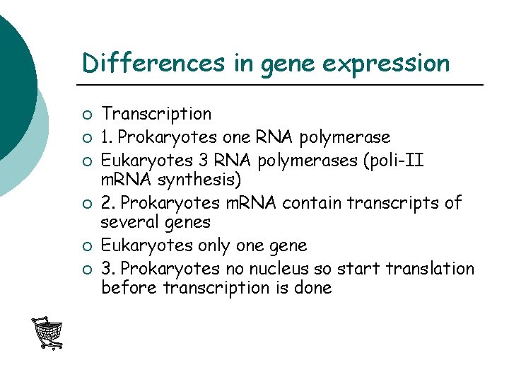 Differences in gene expression ¡ ¡ ¡ Transcription 1. Prokaryotes one RNA polymerase Eukaryotes