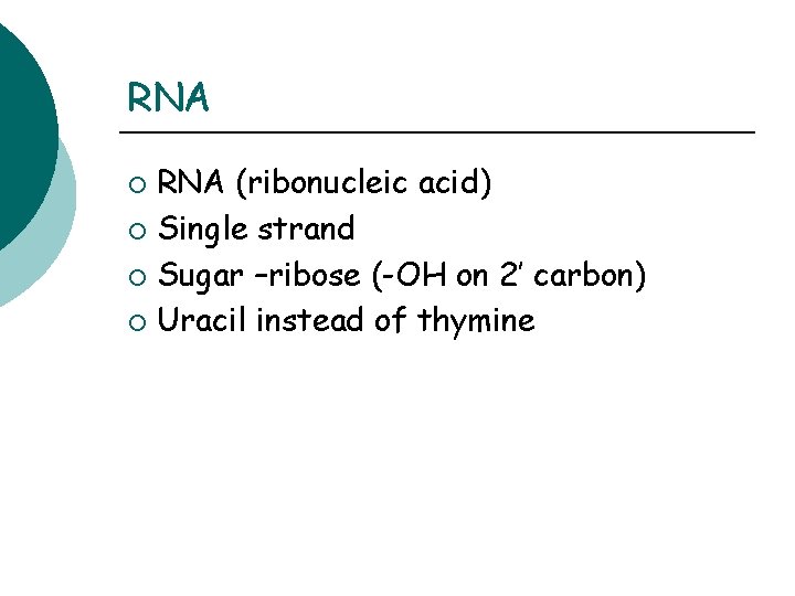 RNA (ribonucleic acid) ¡ Single strand ¡ Sugar –ribose (-OH on 2’ carbon) ¡