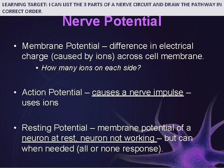 LEARNING TARGET: I CAN LIST THE 3 PARTS OF A NERVE CIRCUIT AND DRAW