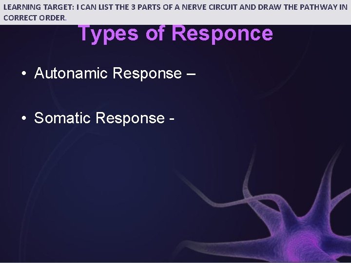 LEARNING TARGET: I CAN LIST THE 3 PARTS OF A NERVE CIRCUIT AND DRAW