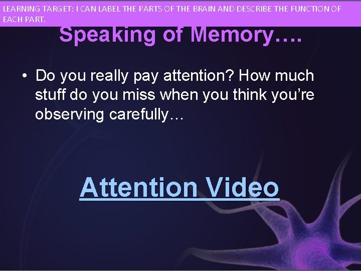 LEARNING TARGET: I CAN LABEL THE PARTS OF THE BRAIN AND DESCRIBE THE FUNCTION