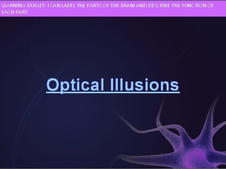 LEARNING TARGET: I CAN LABEL THE PARTS OF THE BRAIN AND DESCRIBE THE FUNCTION