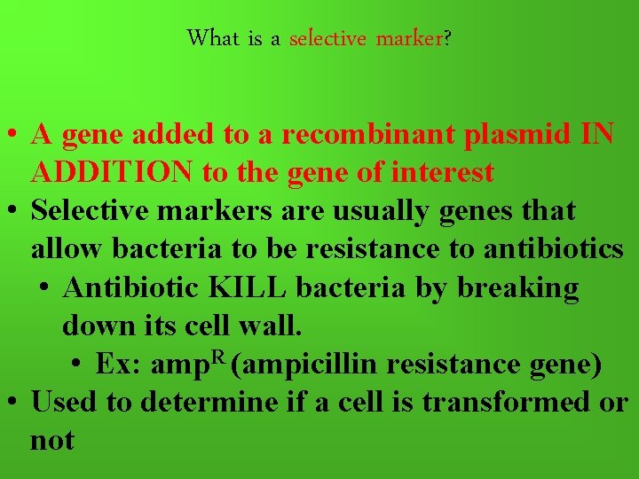 What is a selective marker? • A gene added to a recombinant plasmid IN