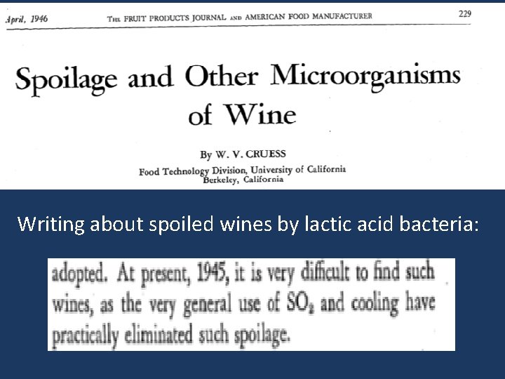 Writing about spoiled wines by lactic acid bacteria: 