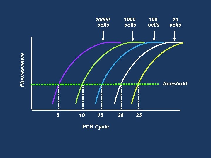 1000 cells 100 cells Fluorescence 10000 cells 10 cells threshold 5 10 15 PCR