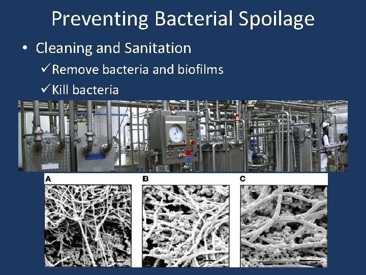 Preventing Bacterial Spoilage • Cleaning and Sanitation üRemove bacteria and biofilms üKill bacteria 