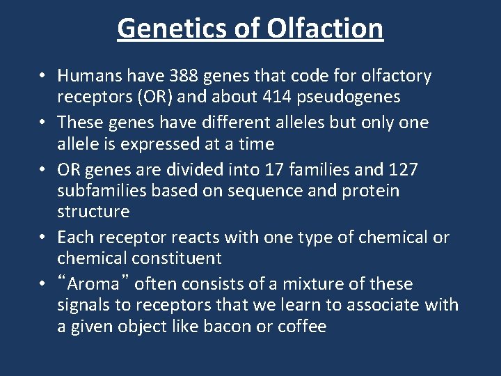 Genetics of Olfaction • Humans have 388 genes that code for olfactory receptors (OR)