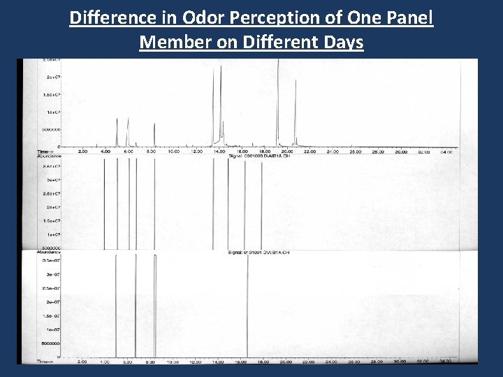 Difference in Odor Perception of One Panel Member on Different Days 