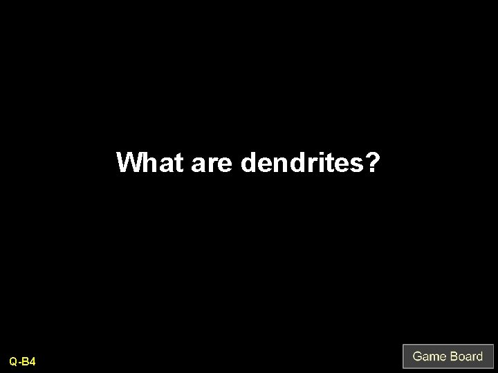 What are dendrites? Q-B 4 