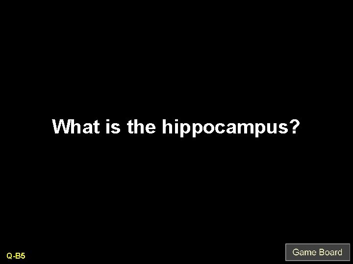 What is the hippocampus? Q-B 5 
