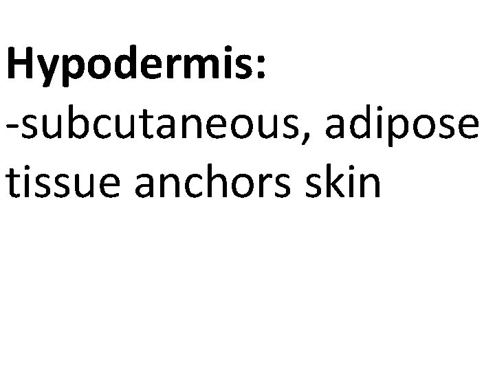 Hypodermis: -subcutaneous, adipose tissue anchors skin 