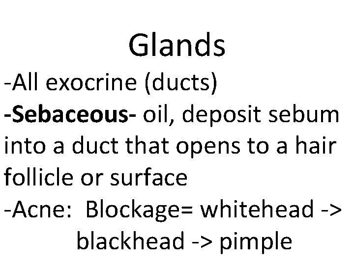 Glands -All exocrine (ducts) -Sebaceous- oil, deposit sebum into a duct that opens to