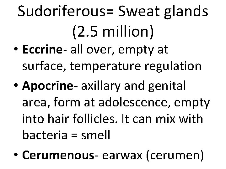 Sudoriferous= Sweat glands (2. 5 million) • Eccrine- all over, empty at surface, temperature