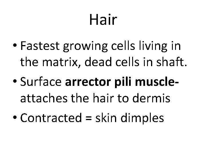 Hair • Fastest growing cells living in the matrix, dead cells in shaft. •