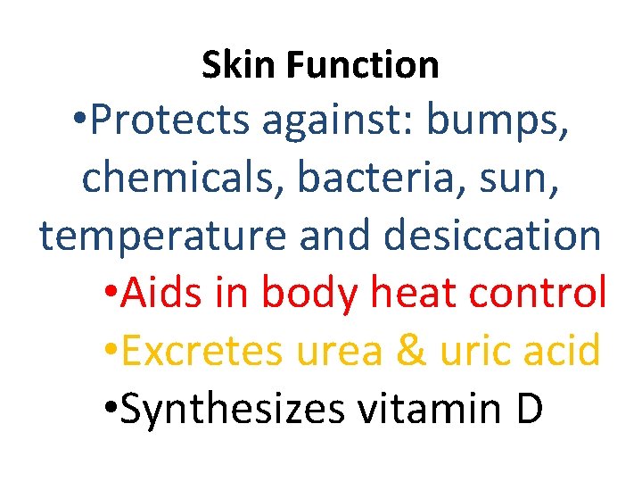 Skin Function • Protects against: bumps, chemicals, bacteria, sun, temperature and desiccation • Aids