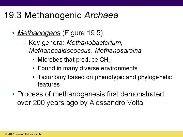 19. 3 Methanogenic Archaea • Methanogens (Figure 19. 5) – Key genera: Methanobacterium, Methanocaldococcus,
