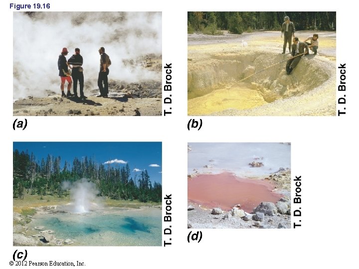 Figure 19. 16 © 2012 Pearson Education, Inc. 