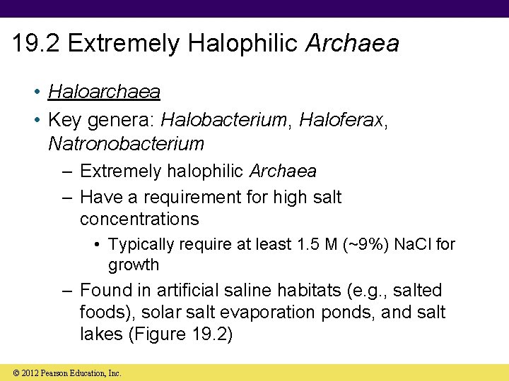 19. 2 Extremely Halophilic Archaea • Haloarchaea • Key genera: Halobacterium, Haloferax, Natronobacterium –