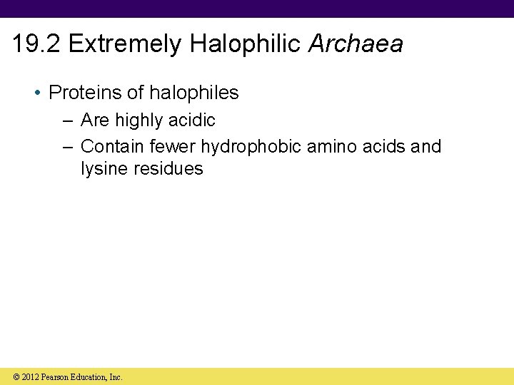 19. 2 Extremely Halophilic Archaea • Proteins of halophiles – Are highly acidic –