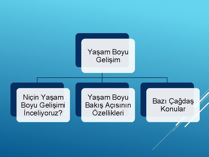 Yaşam Boyu Gelişim Niçin Yaşam Boyu Gelişimi İnceliyoruz? Yaşam Boyu Bakış Açısının Özellikleri Bazı