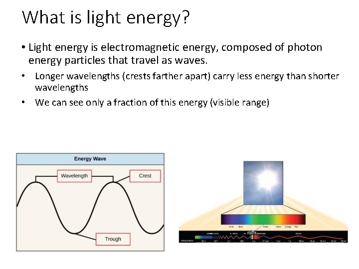 What is light energy? • Light energy is electromagnetic energy, composed of photon energy