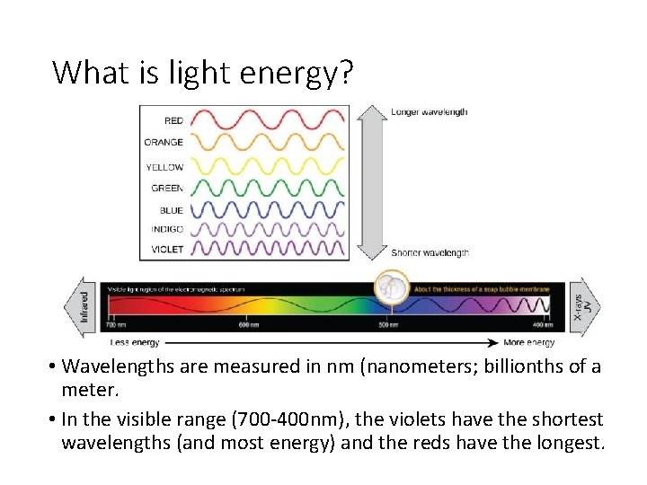 What is light energy? • Wavelengths are measured in nm (nanometers; billionths of a