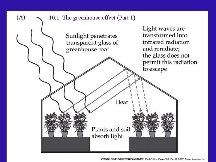 10. 1 The greenhouse effect (Part 1) 