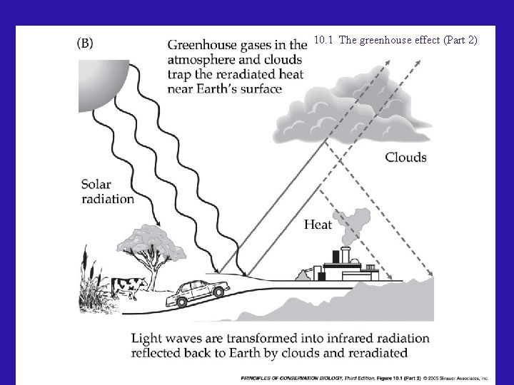 10. 1 The greenhouse effect (Part 2) 