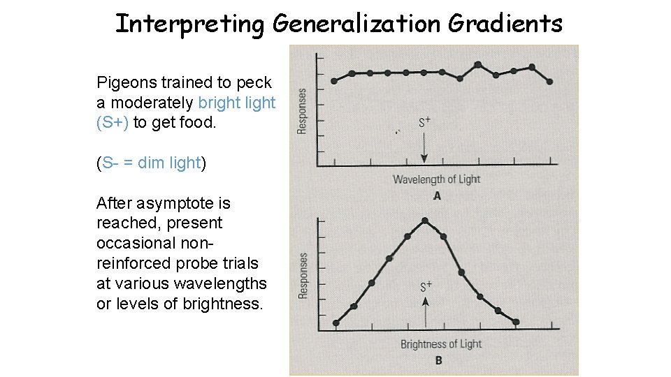 Interpreting Generalization Gradients Pigeons trained to peck a moderately bright light (S+) to get