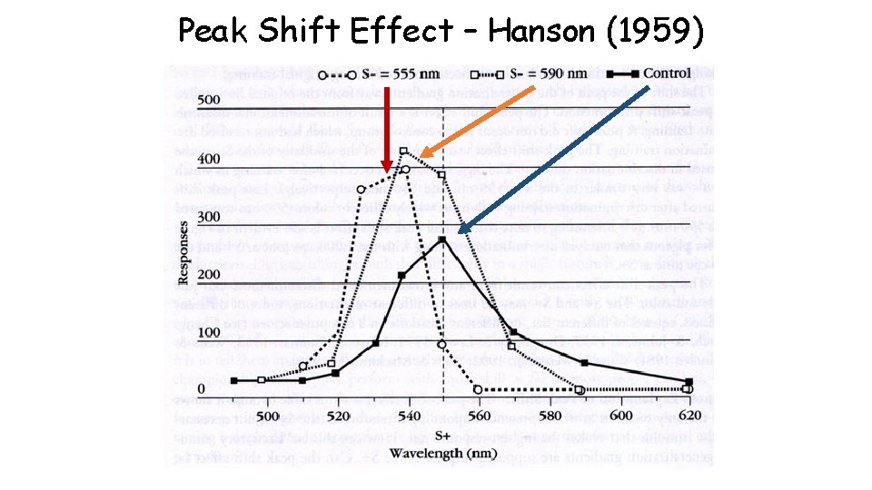 Peak Shift Effect – Hanson (1959) 