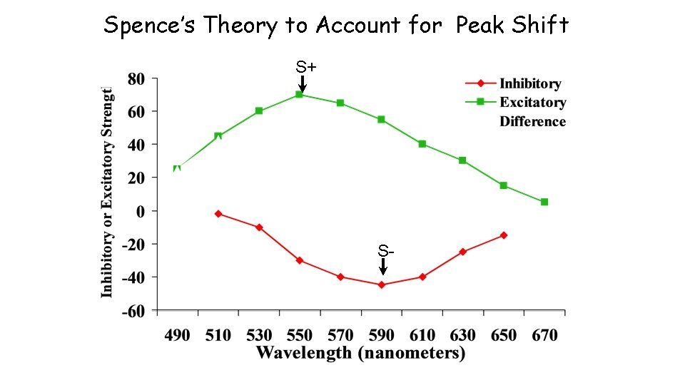 Spence’s Theory to Account for Peak Shift S+ S- 