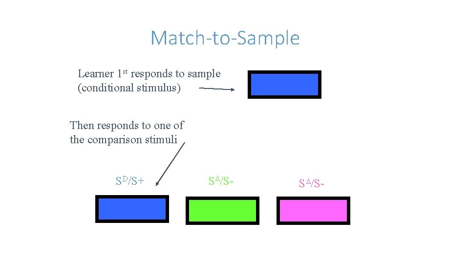 Match-to-Sample Learner 1 st responds to sample (conditional stimulus) Sample Then responds to one