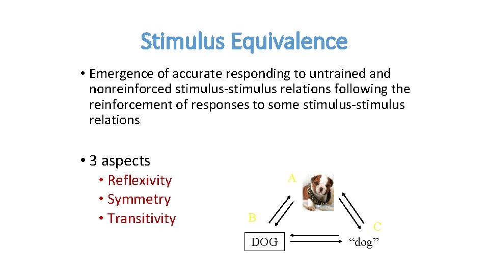 Stimulus Equivalence • Emergence of accurate responding to untrained and nonreinforced stimulus-stimulus relations following