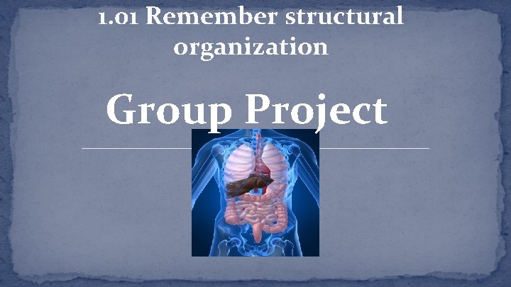 1. 01 Remember structural organization Group Project 