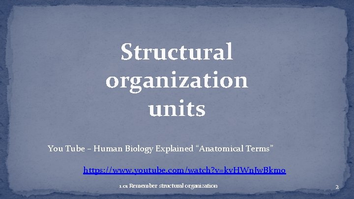 Structural organization units You Tube – Human Biology Explained “Anatomical Terms” https: //www. youtube.