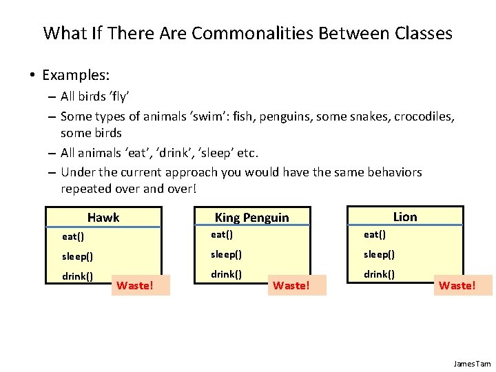 What If There Are Commonalities Between Classes • Examples: – All birds ‘fly’ –