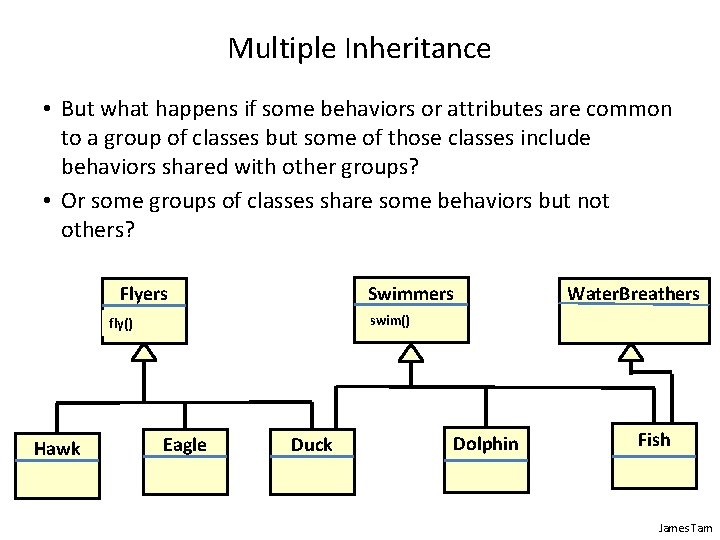 Multiple Inheritance • But what happens if some behaviors or attributes are common to