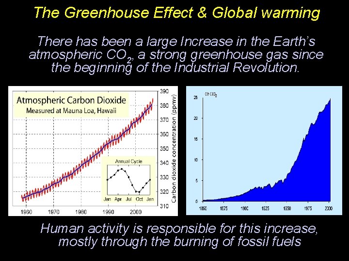 The Greenhouse Effect & Global warming There has been a large Increase in the