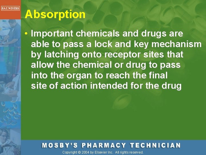 Absorption • Important chemicals and drugs are able to pass a lock and key